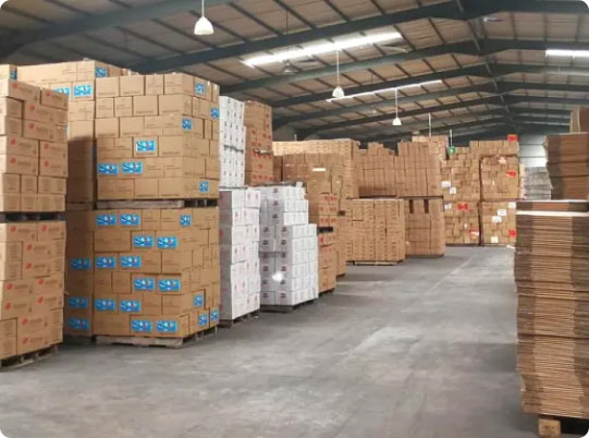 Tomato Paste Factory - Hebei Tomato _5 Tomato Paste Factory - Hebei Tomato _4