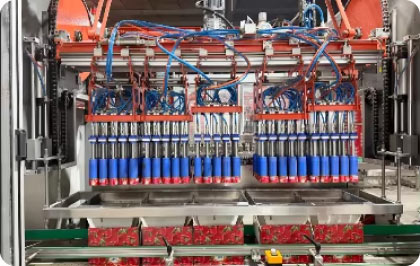 Tomato Paste Factory - Hebei Tomato _7 Tomato Paste Factory - Hebei Tomato _7