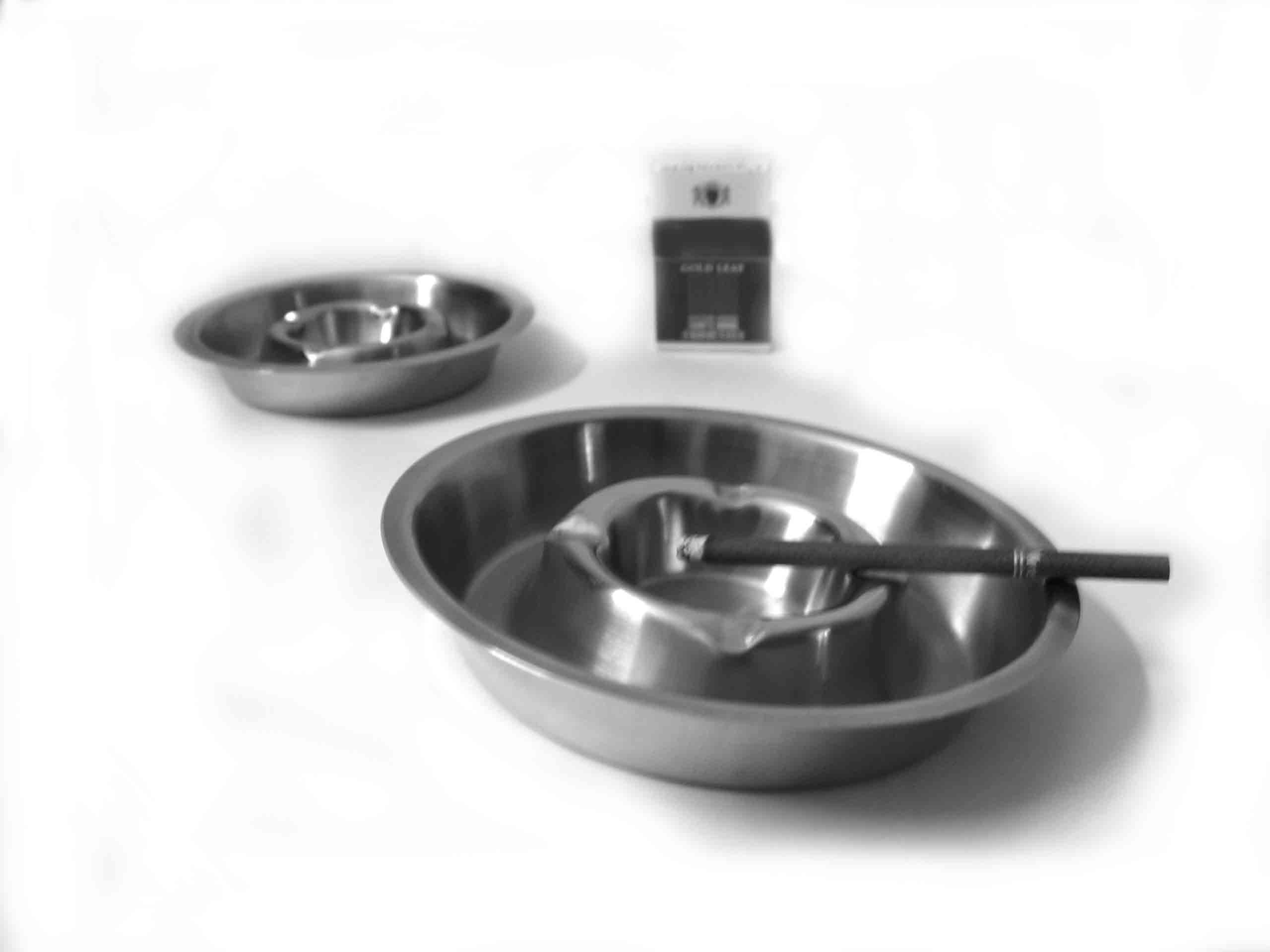 Ashtray at Best Price in Sonipat, Haryana Aggarwal Steel Industries