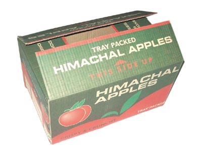 Apple Corrugated Box