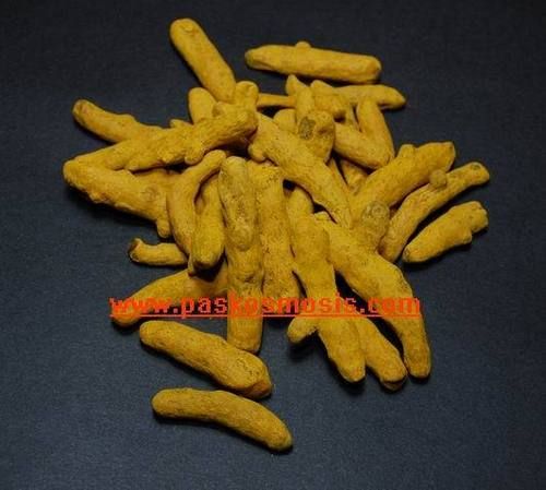 Turmeric Fingers