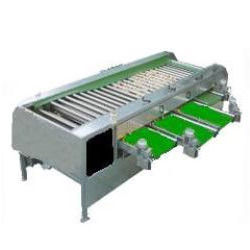 Food Processing Machines