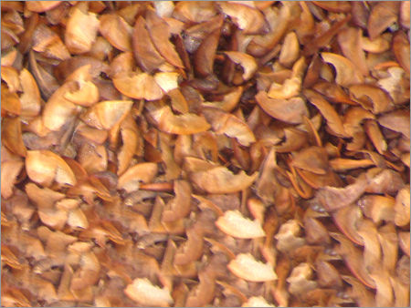 Crape Myrtle Seeds (Lagerstroemia Indica)