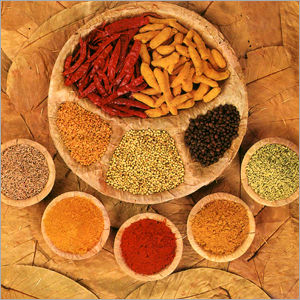 Indian Spices Cue Forearm: Ash Wood