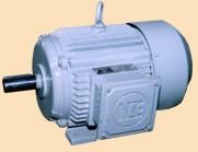 Ac Motor