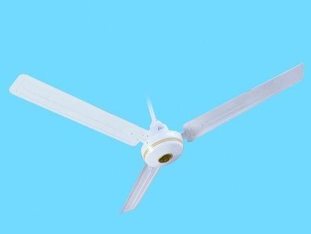 Export Quality Ceiling Fan