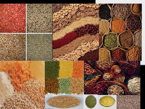 Washable Grains, Pulses,Cereals,Herbals