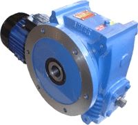 Motorized Worm Gear Box