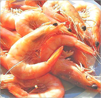 Prawns