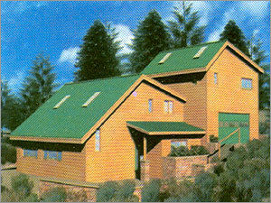 Hill Station Cottage Roofing