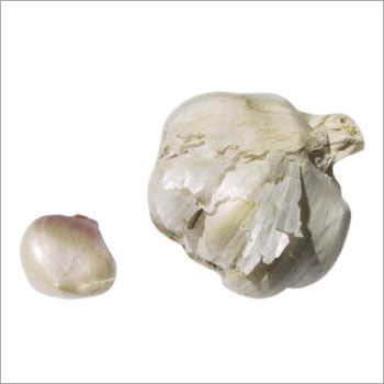 Garlic and Garlic Product