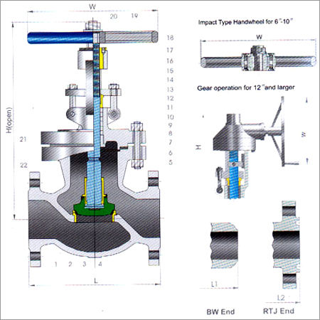 Globe Valves Class 300