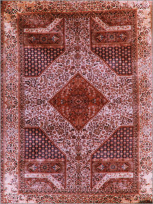 Sheeraze Carpet Capacity: 250 - 1500 Liters Liter/Day