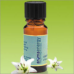 Fragrance Oil