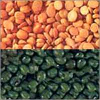 Pulses (Dal / Lentil)