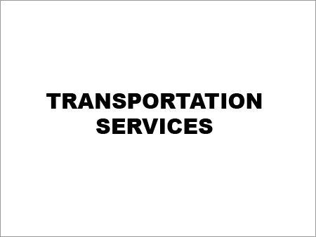 Transportation Services Cue Forearm: Ash Wood