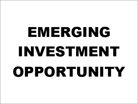 Emerging Investment Opportunity By RSMG & COMPANY