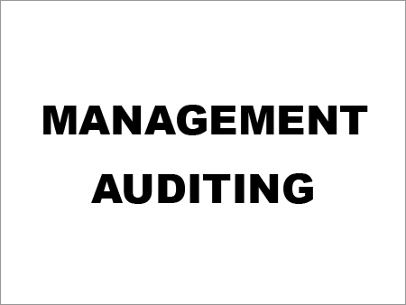 Management Auditing By RSMG & COMPANY