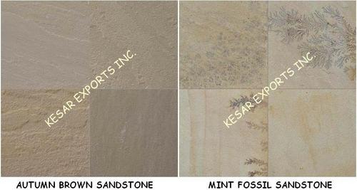 MINT FOSSIL SANDSTONE