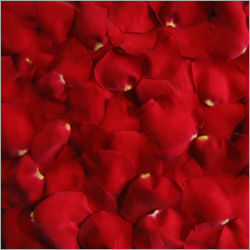 Rose Petals