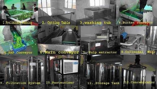 Aloevera Processing Machine