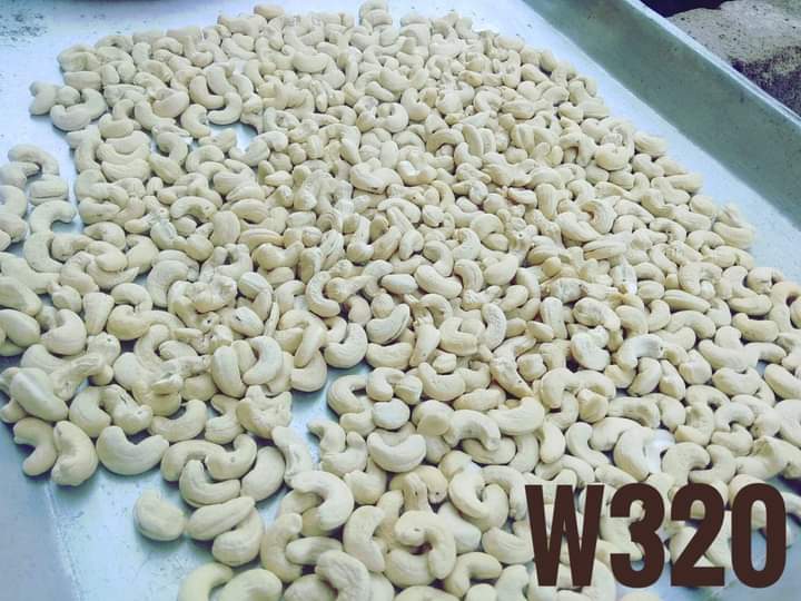 100% Organic A Grade W320 Cashew Nut