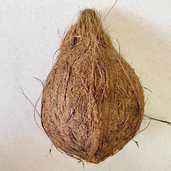 Fresh Brown Coconut