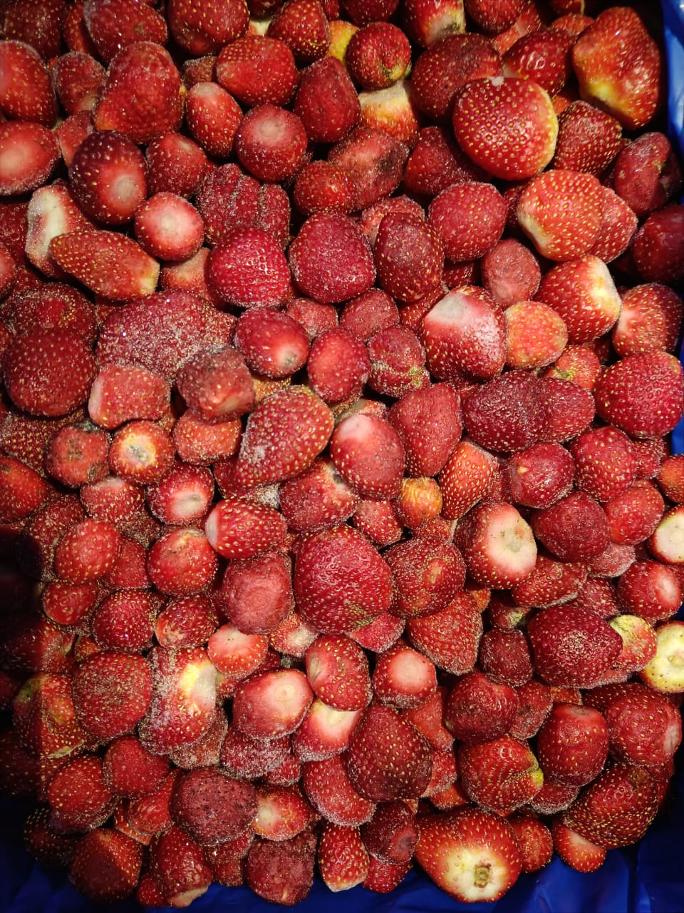 frozen strawberry