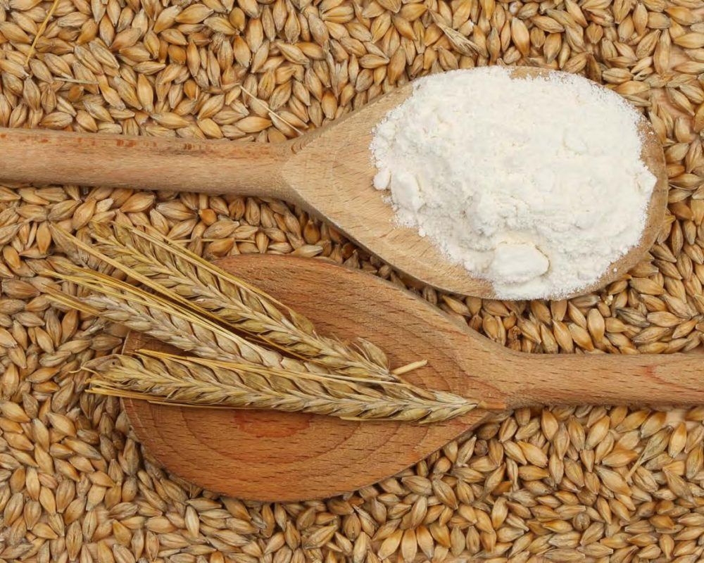 Organic Barley Flour