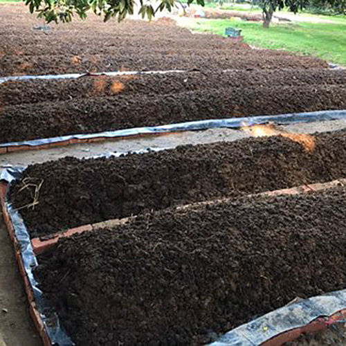 Organic Vermicompost Application: Agriculture