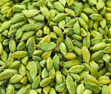 Fresh Green Cardamom