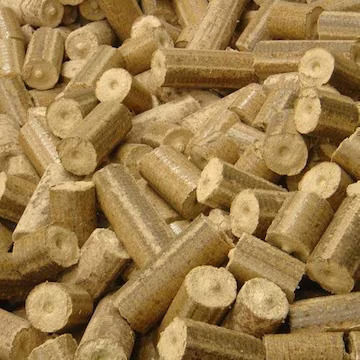 Biomass briquette