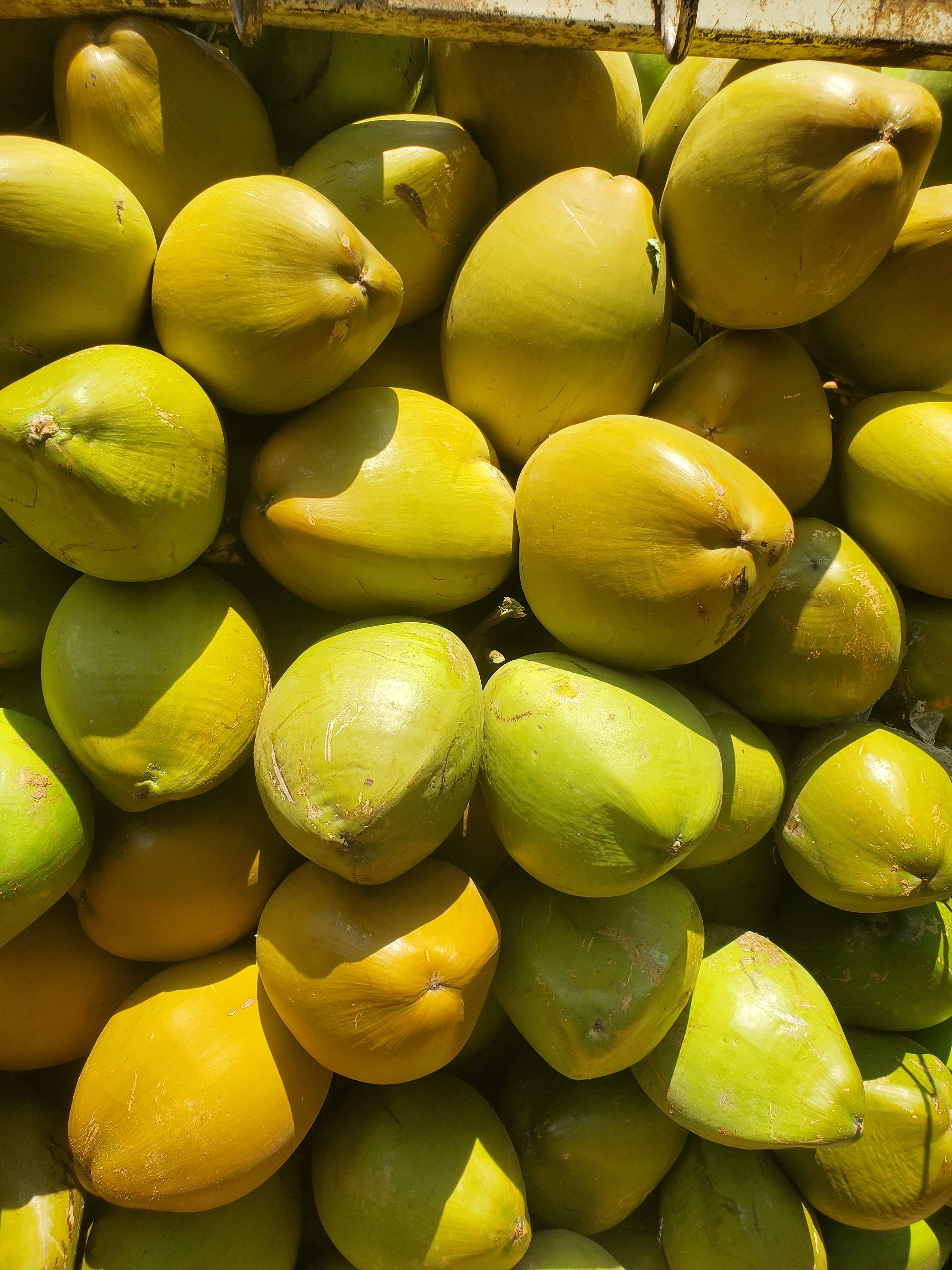 Fresh Tender Coconut