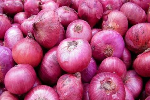 A Grade Export Quality Fresh Red Onion