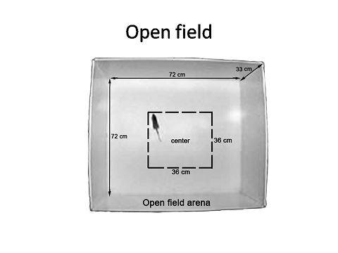 Open Field Density Test Apparatus