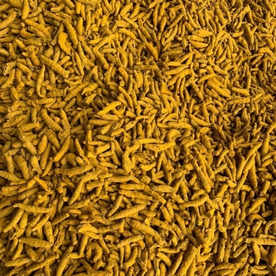 Turmeric Finger - Dried Yellow Spices | Healthy, Nutritious, Food Grade Quality