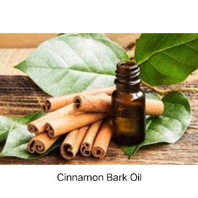 Cinnamon Bark Oil