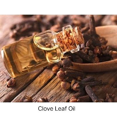 Clove Leaf Oil