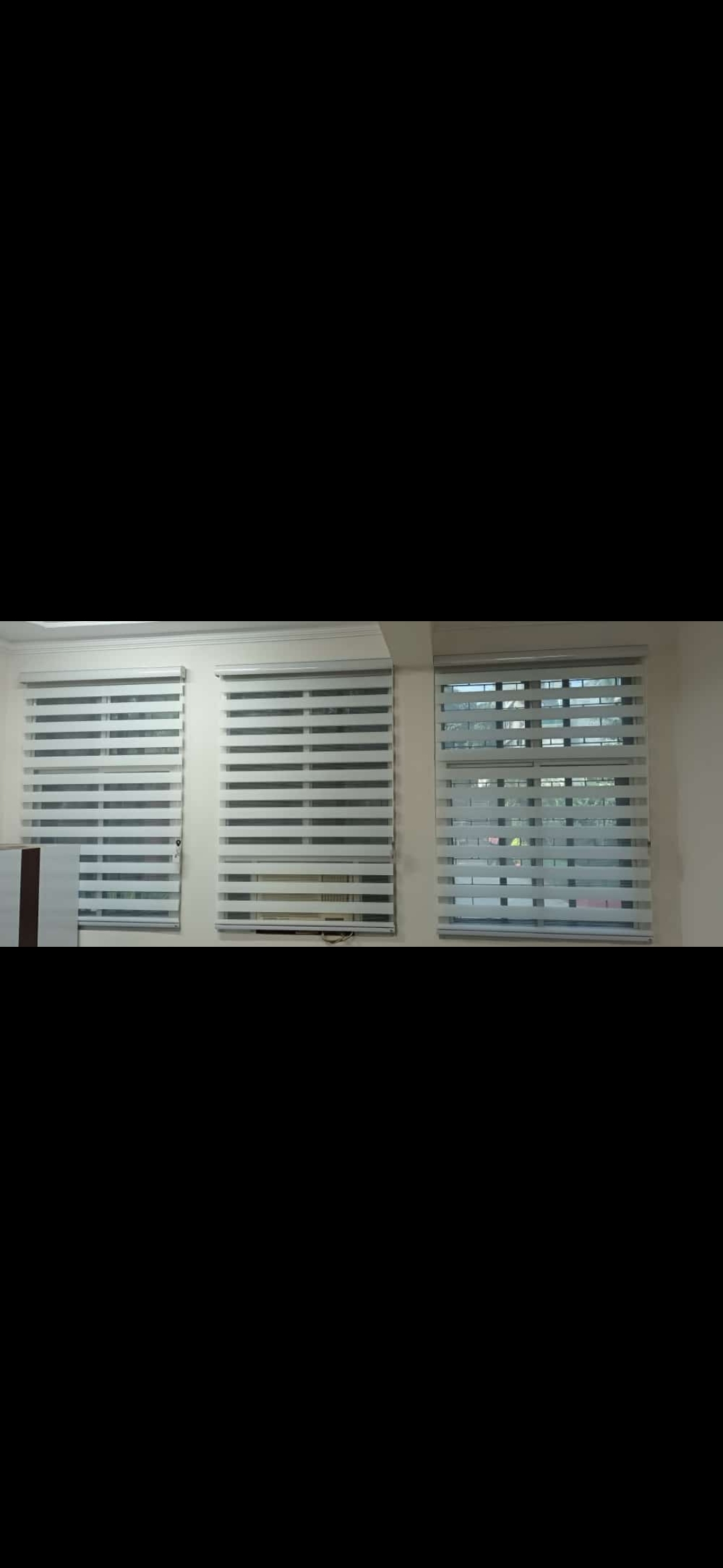 Zebra Blinds