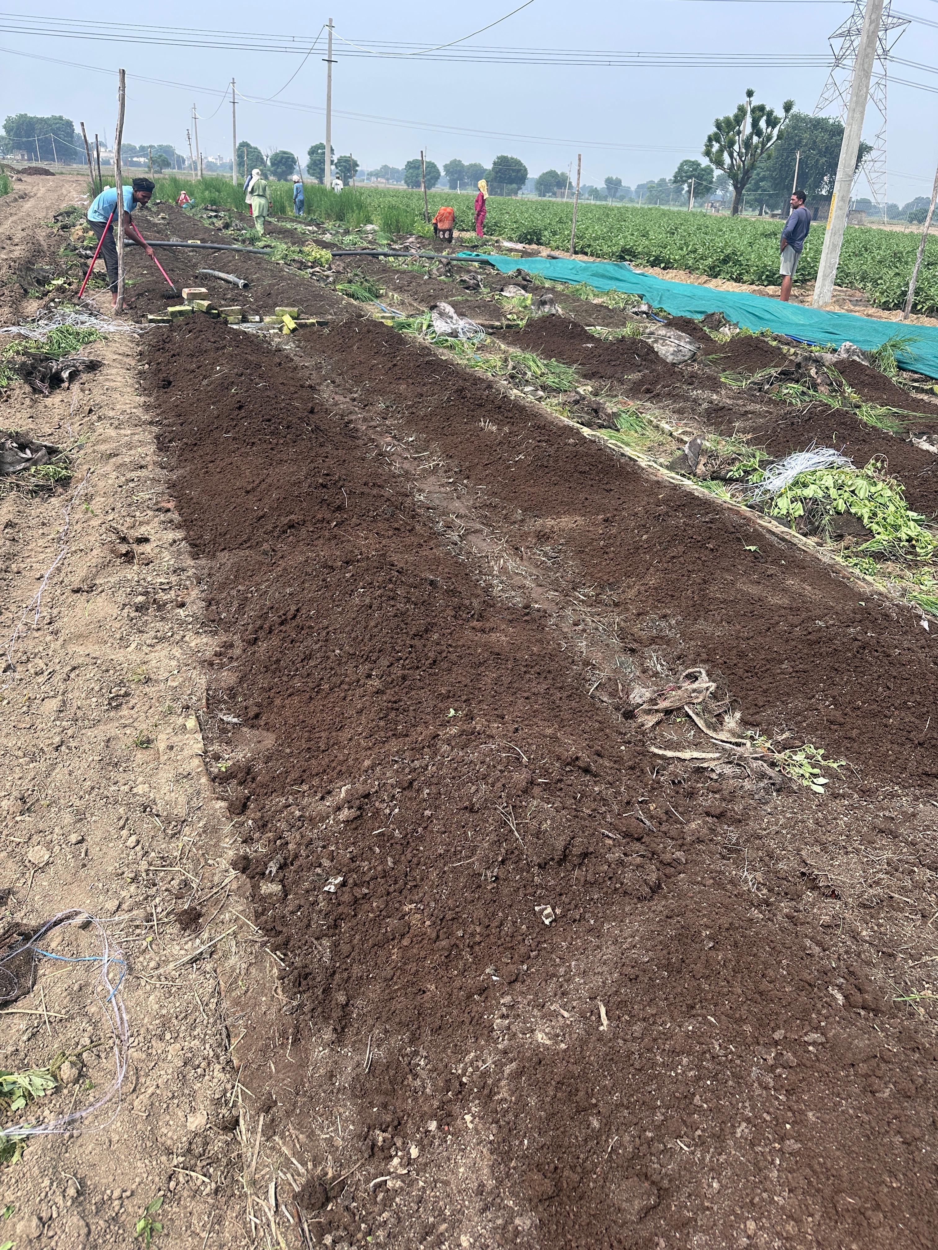 Aroghya Naturals