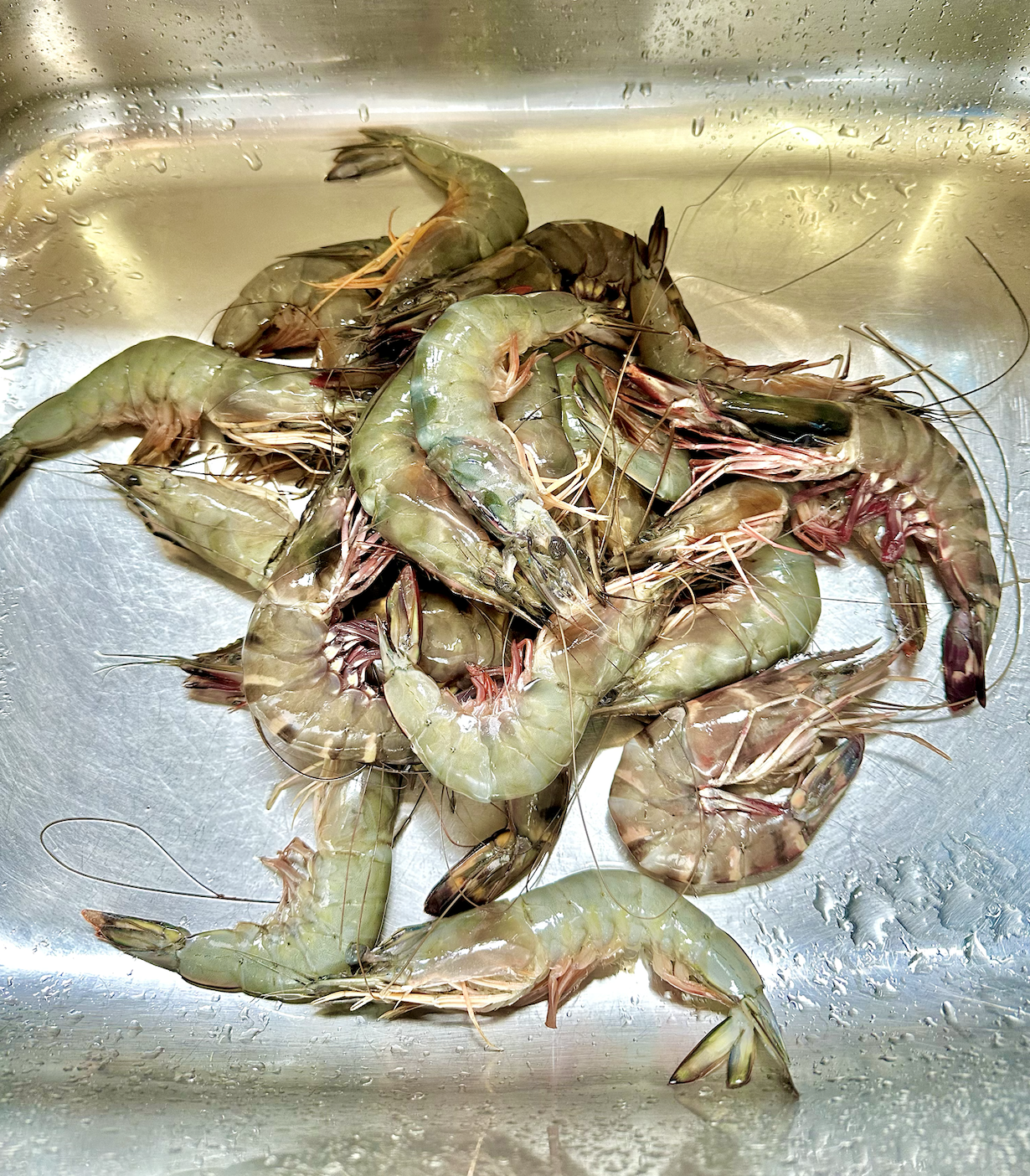 Fresh Tiger Shrimp Whole