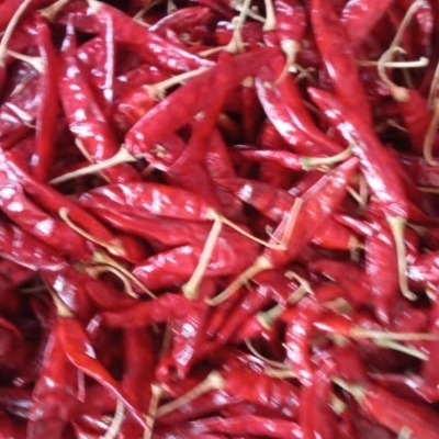 Dry Red Chilli