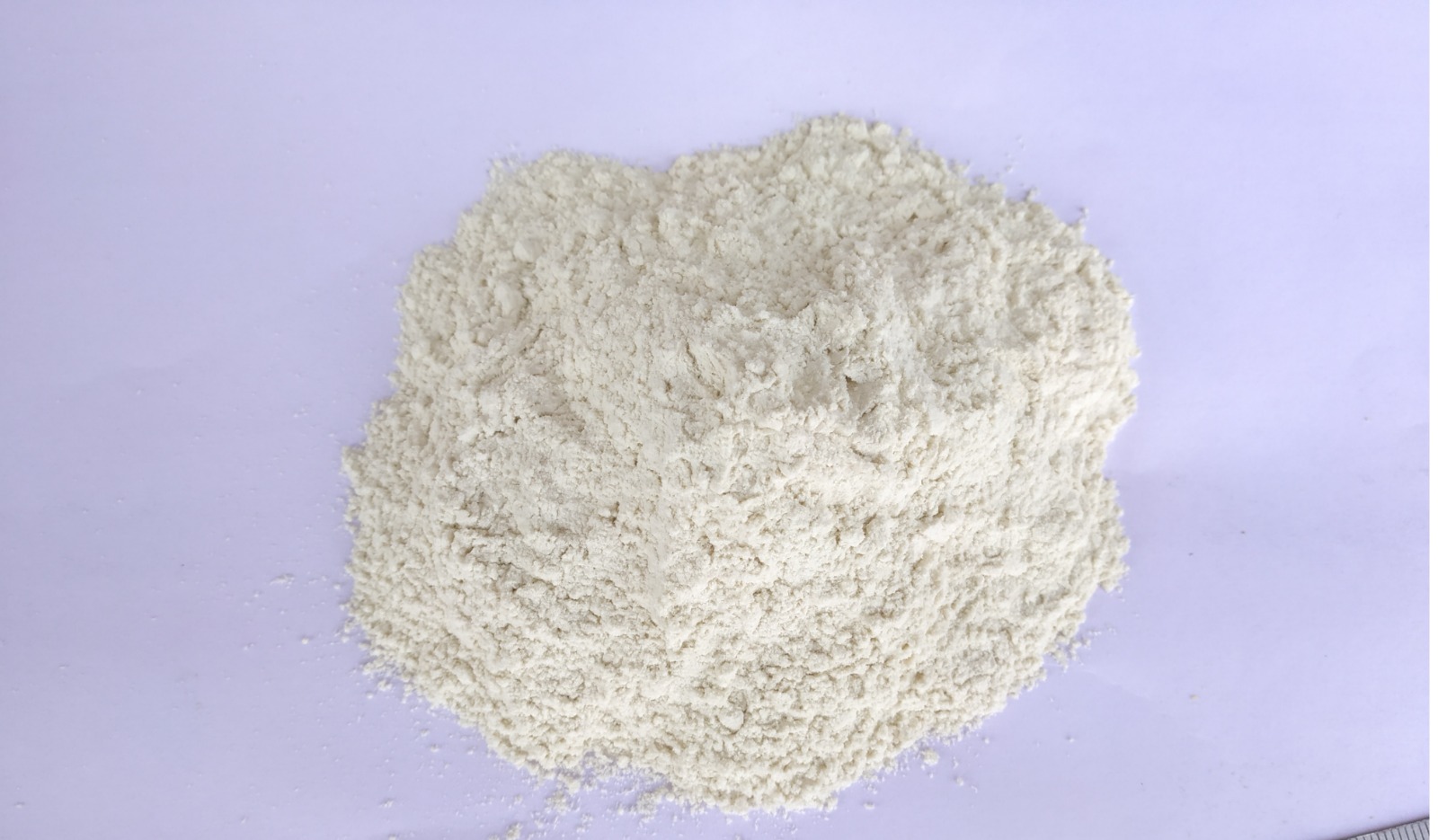 Dehydrated White Onion Powder - Powdered Form | 12-Month Shelf Life, Ideal for Seasoning and Culinary Applications