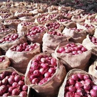 Fresh Red Onion