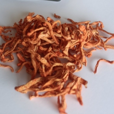 Cordyceps Militaris Mushroom