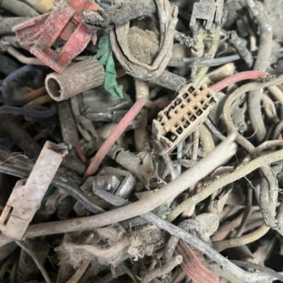 Car Wire Scrap