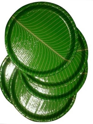 Buffer Paper Plate