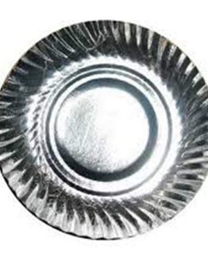 Disposable Plate