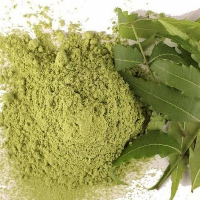 Neem Leave Azadirachta Indica Powder