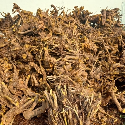 Indian BarBerry (Daru Hardiya) Berberies Aristata - Dried Herbal Form, Highly Pure | Storage Instructions: Dry Place, Type: Dried Herbs